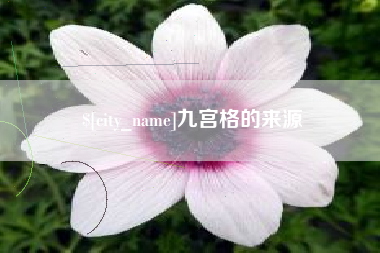 茌平九宫格的来源