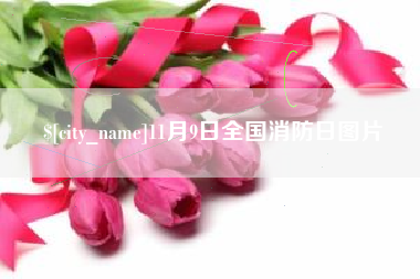 茌平11月9日全国消防日图片