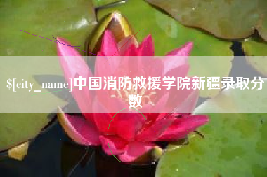 茌平中国消防救援学院新疆录取分数