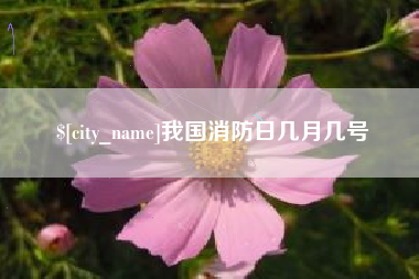 茌平我国消防日几月几号