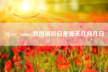 茌平我国消防日是哪天几月几日
