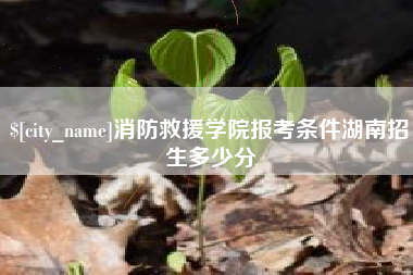 茌平消防救援学院报考条件湖南招生多少分
