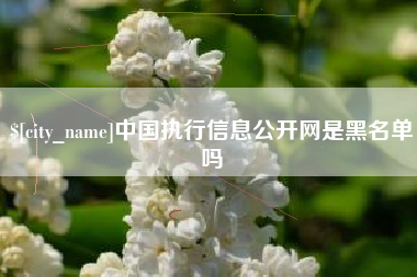 茌平中国执行信息公开网是黑名单吗