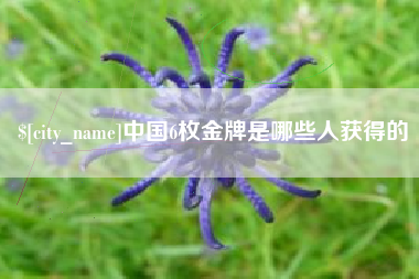 茌平中国6枚金牌是哪些人获得的
