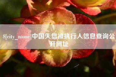 茌平中国失信被执行人信息查询公开网址