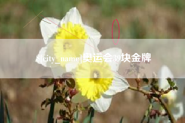 茌平奥运会39块金牌