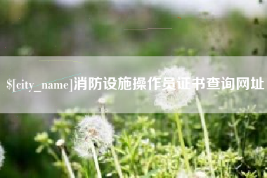 茌平消防设施操作员证书查询网址