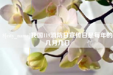 茌平我国119消防日宣传日是每年的几月几日