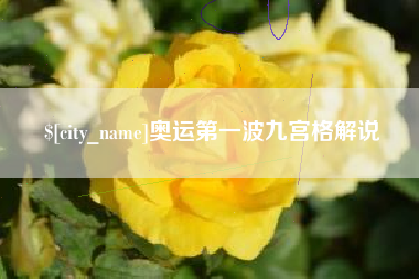 茌平奥运第一波九宫格解说