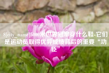 茌平5000米世界冠军穿什么鞋-它们是运动员取得优异成绩背后的重要“功臣”