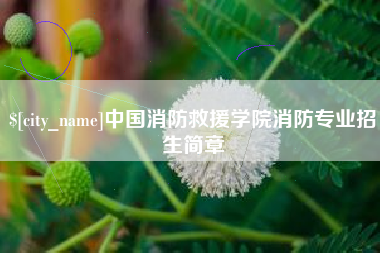 茌平中国消防救援学院消防专业招生简章