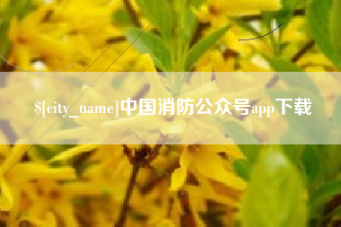 茌平中国消防公众号app下载