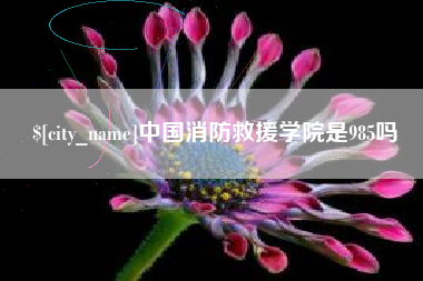茌平中国消防救援学院是985吗