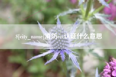 茌平消防ccc认证什么意思