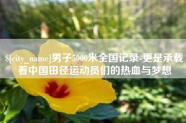 茌平男子5000米全国记录-更是承载着中国田径运动员们的热血与梦想