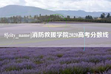 茌平消防救援学院2020高考分数线