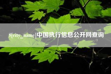 茌平中国执行信息公开网查询