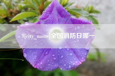 茌平全国消防日哪一
