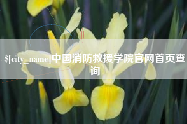 茌平中国消防救援学院官网首页查询