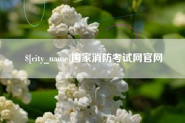 茌平国家消防考试网官网
