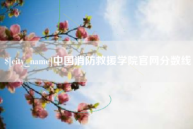茌平中国消防救援学院官网分数线