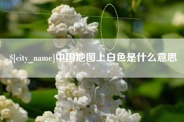 茌平中国地图上白色是什么意思