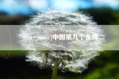 茌平中国第九个金牌