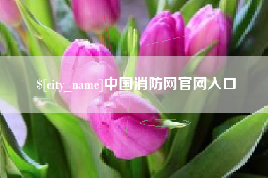茌平中国消防网官网入口