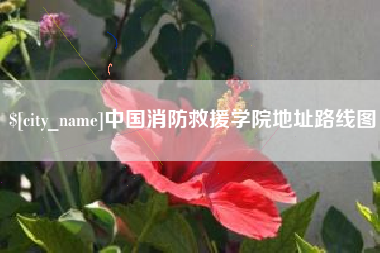 茌平中国消防救援学院地址路线图