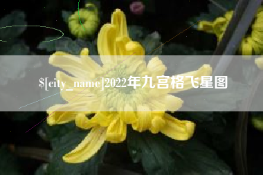 茌平2022年九宫格飞星图