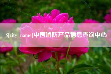 茌平中国消防产品信息查询中心