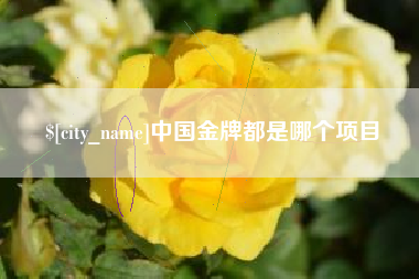 茌平中国金牌都是哪个项目