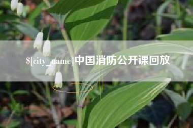 茌平中国消防公开课回放