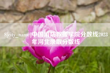茌平中国消防救援学院分数线2023年河北录取分数线