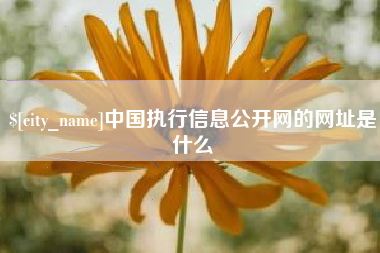 茌平中国执行信息公开网的网址是什么
