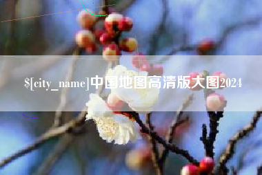 茌平中国地图高清版大图2024