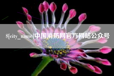 茌平中国消防网官方网站公众号