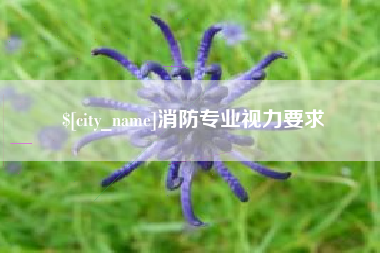 茌平消防专业视力要求