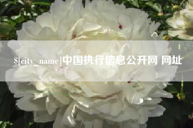 茌平中国执行信息公开网 网址