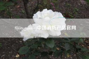 茌平中国消防产品官网