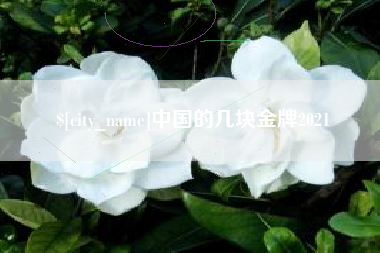 茌平中国的几块金牌2021