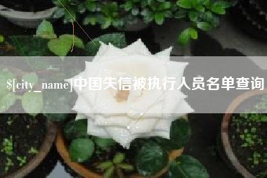 茌平中国失信被执行人员名单查询