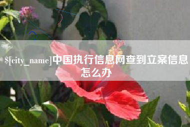 茌平中国执行信息网查到立案信息怎么办