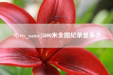 茌平5000米全国纪录是多少