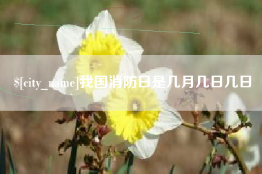 茌平我国消防日是几月几日几日
