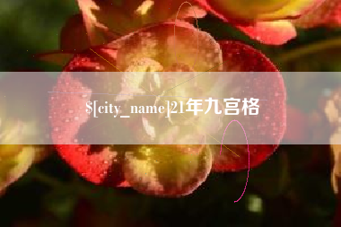 茌平21年九宫格