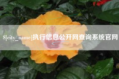 茌平执行信息公开网查询系统官网
