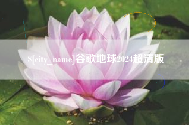 茌平谷歌地球2024超清版