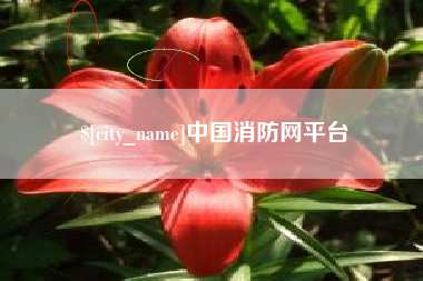 茌平中国消防网平台
