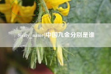 茌平中国九金分别是谁